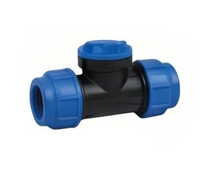 Check Valve