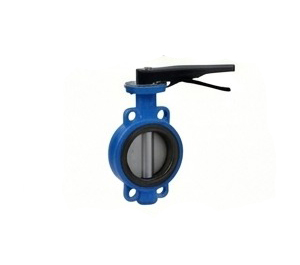 Butterfly Valve